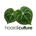 Hoardiculture - Home