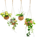 Hoya addiction starter pack (4x 12cm hanging kokodama pot)